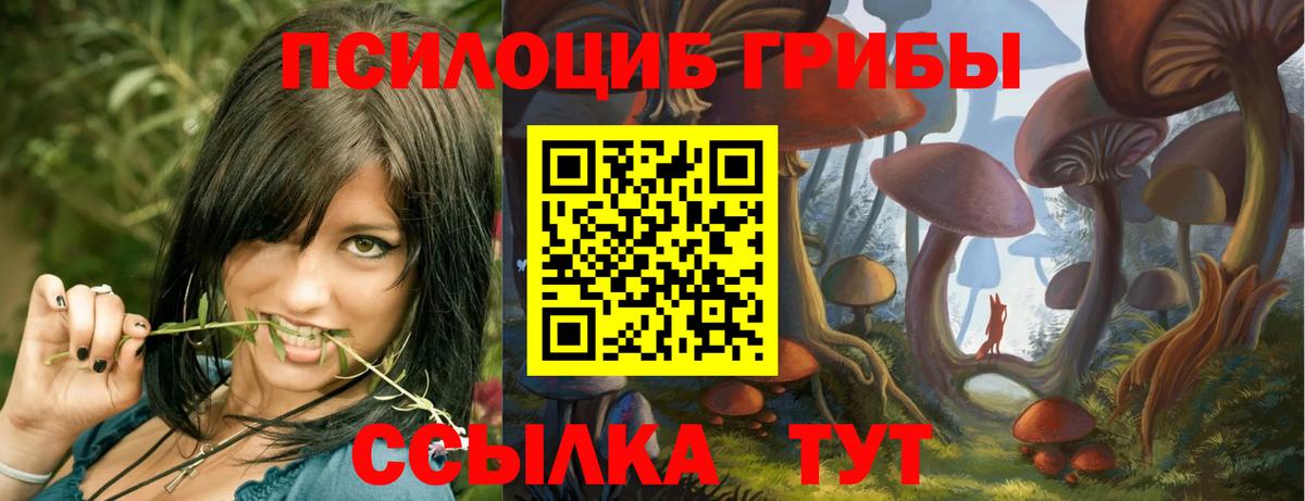 Псилоцибиновые грибы ЛСД  Вход с VPN  Алапаевск 